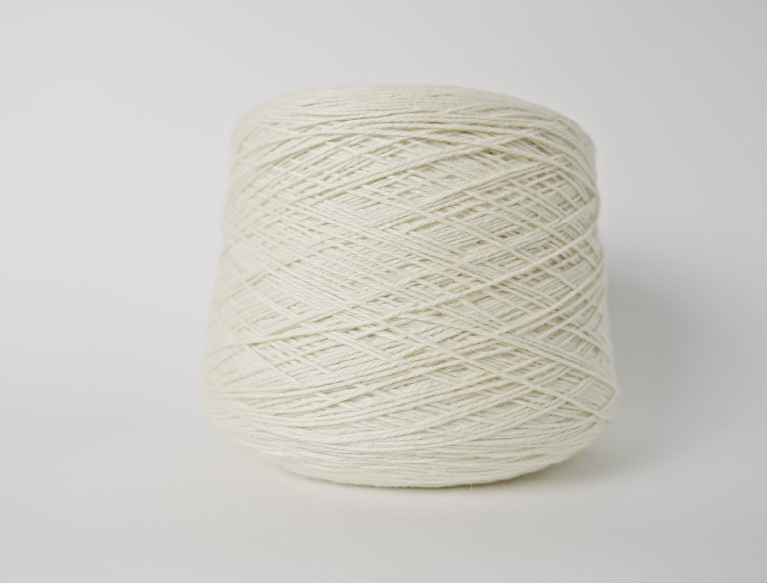 Tollegno 1900 Lana Gatto - Naturale